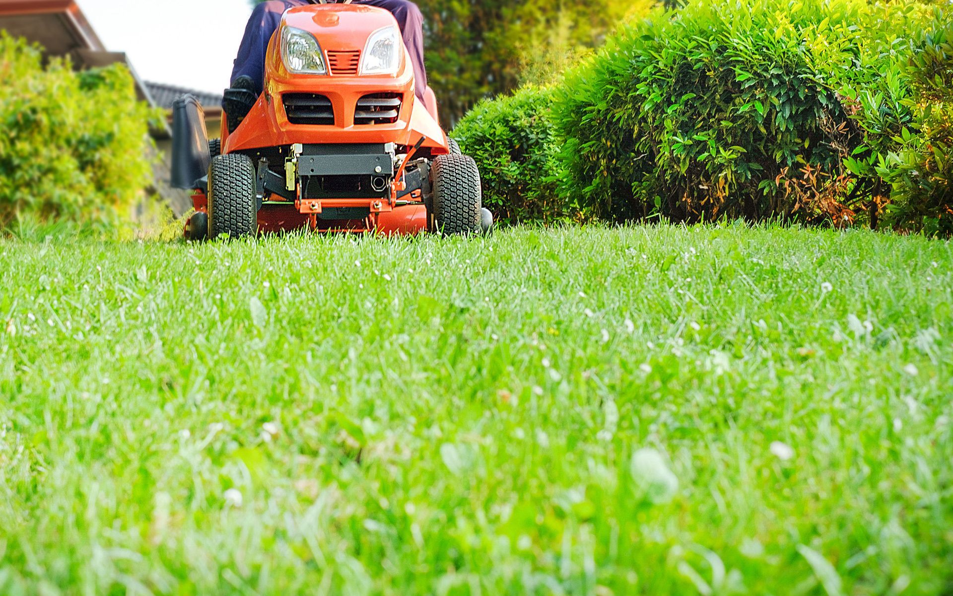 a man is riding a lawn mower on a lush green lawn