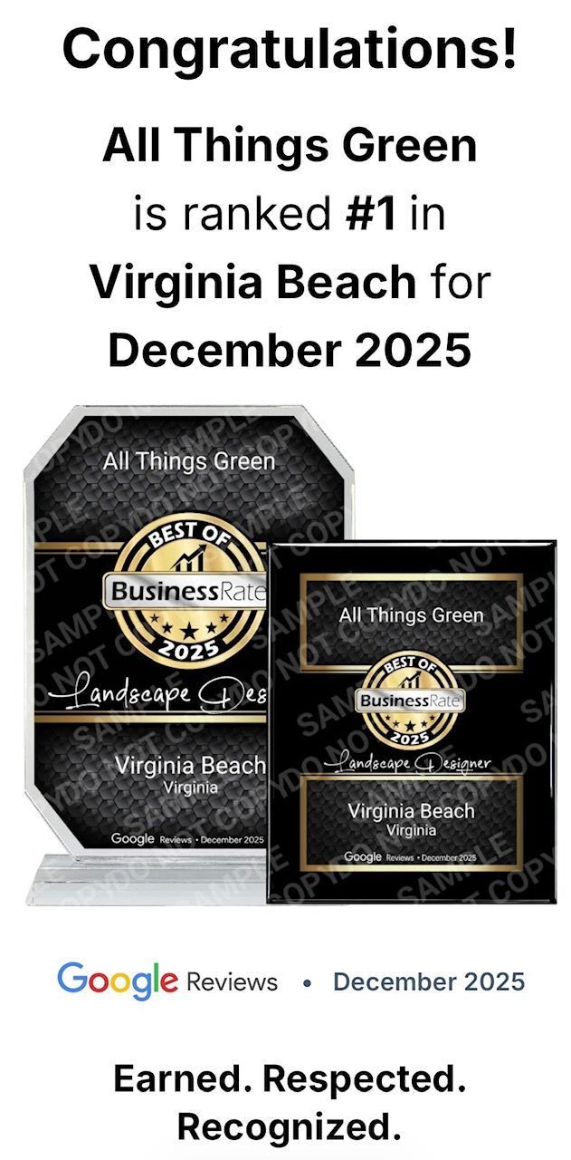 A Best of Business award certificate recognizing All Things Green as #1 in Virginia Beach for December 2025.