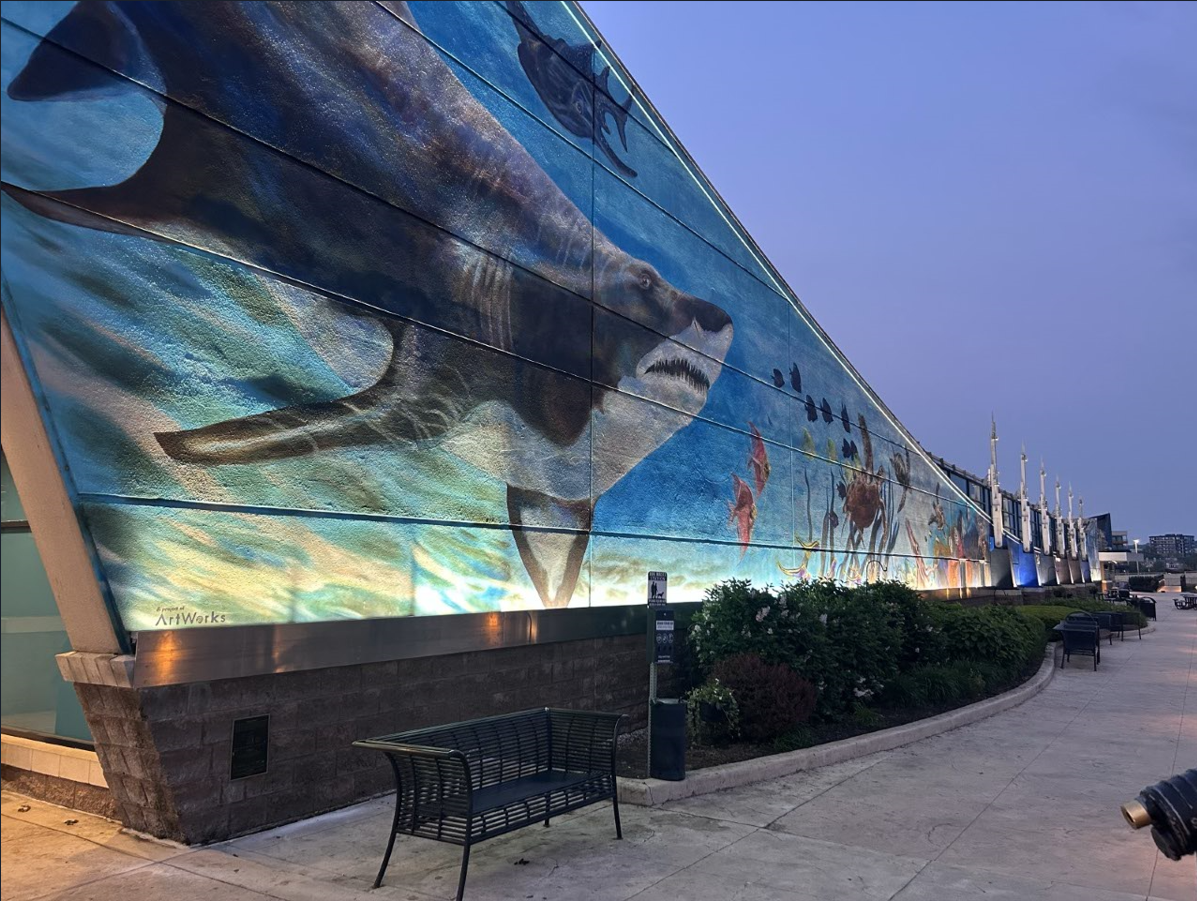 A large mural of a shark is on the side of a building with a lot of lights on it.