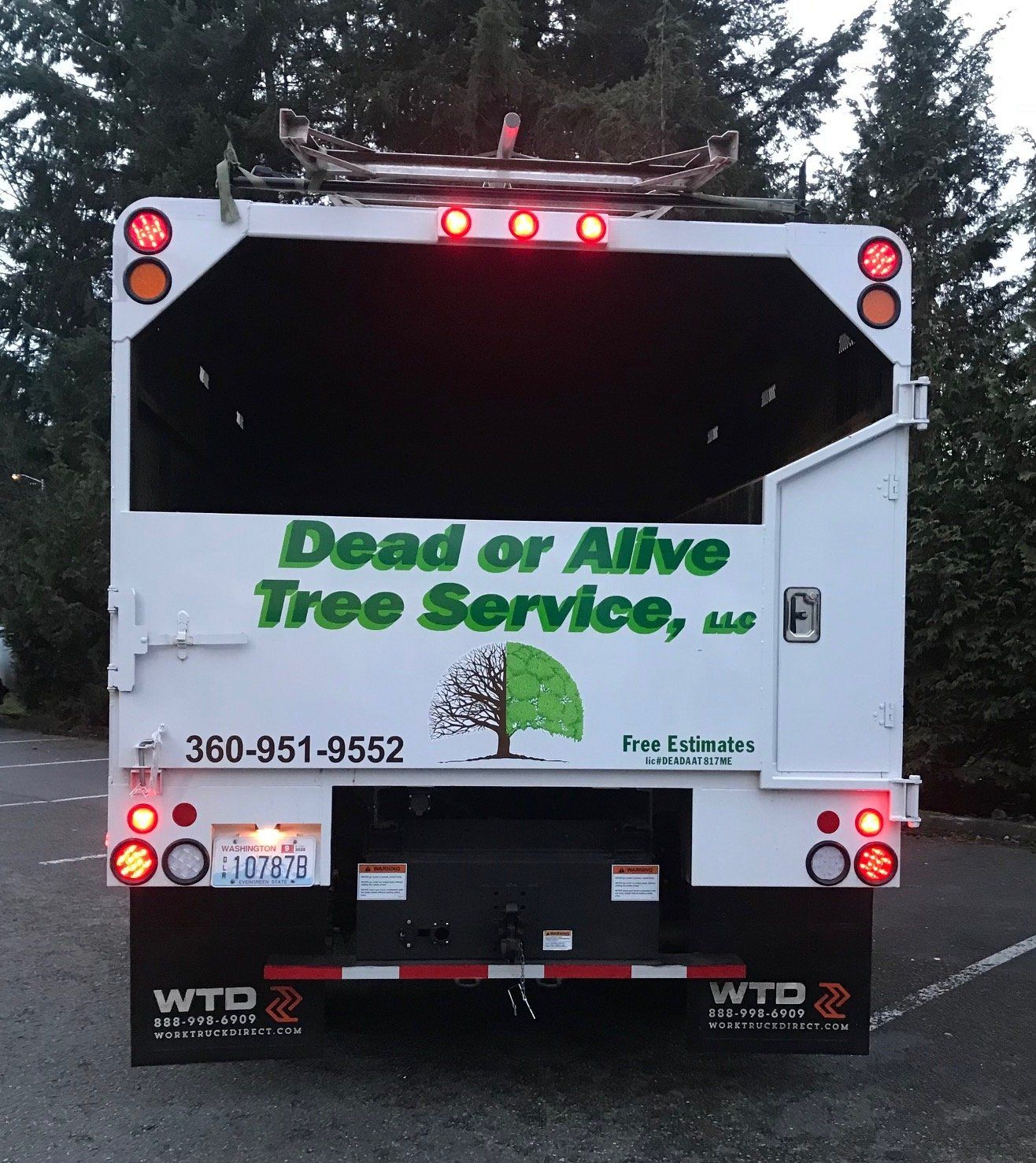 Dead or Alive back vehicle graphic