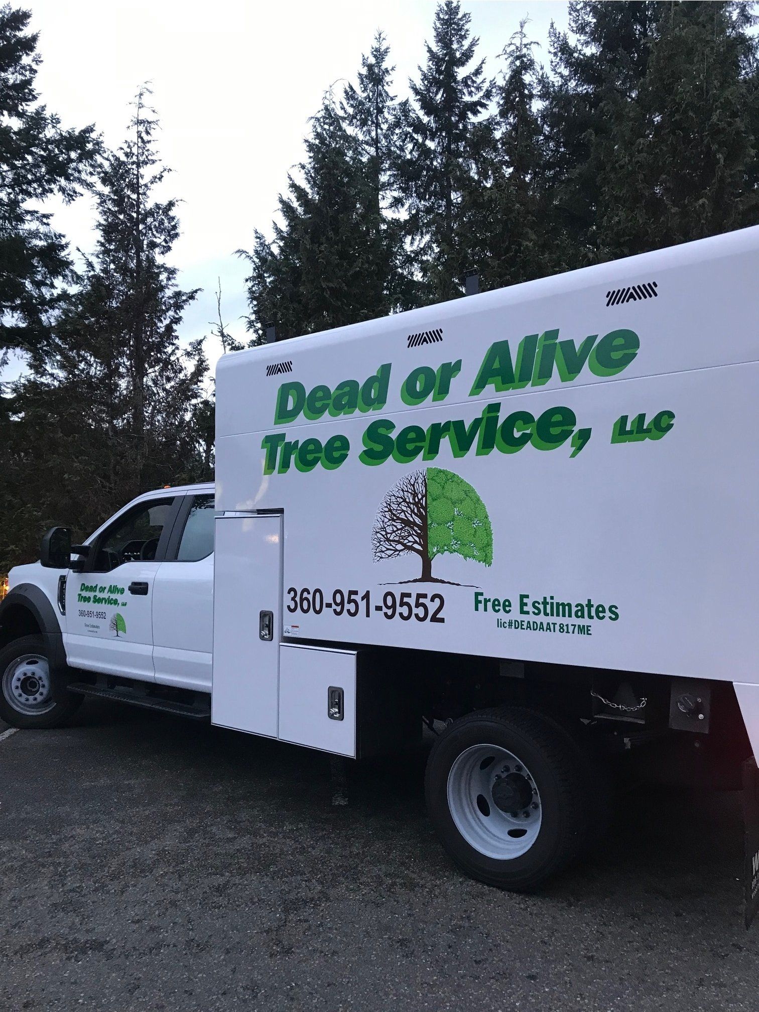 Dead or Alive side vehicle graphic