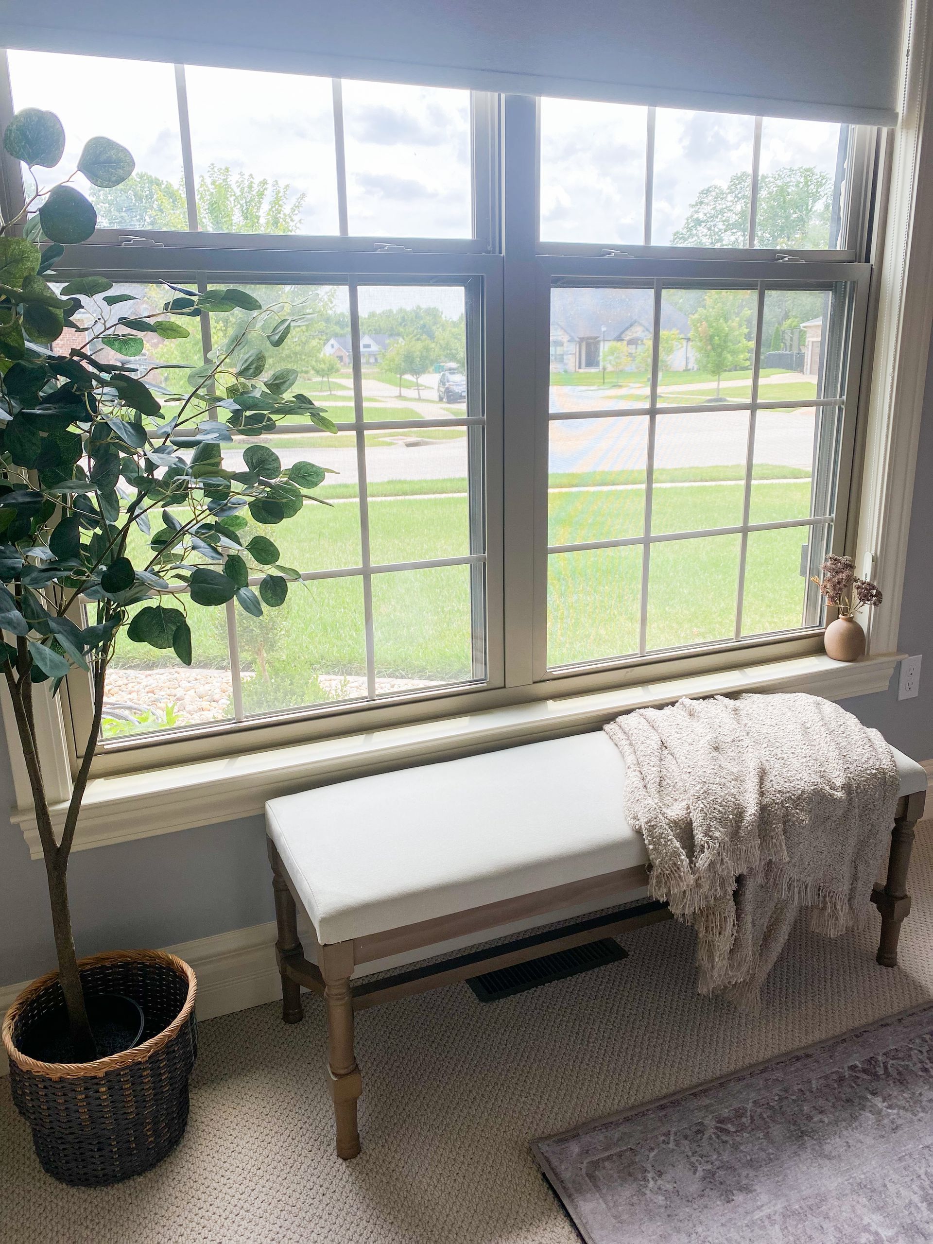 Window seat with a blanket, potted tree, and window overlooking a street.