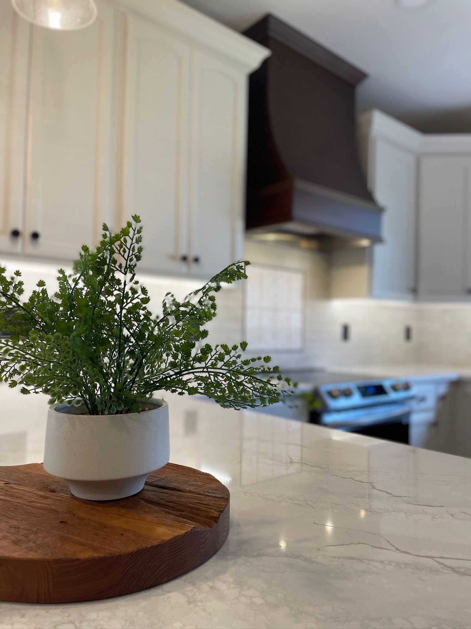 Kitchen countertop with potted plant on wooden slab; white cabinets, dark wood range hood, and stove in background.