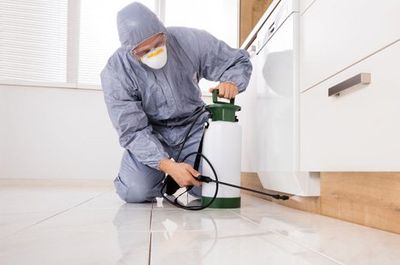 Termite Inspection Service