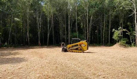 forestry mulching