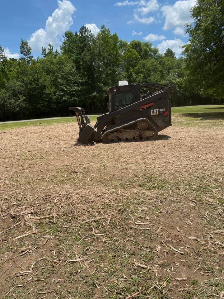 after forestry mulching