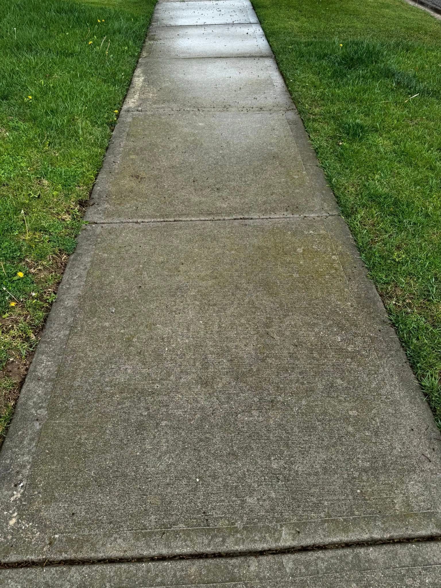 A concrete sidewalk leading to a grassy yard.