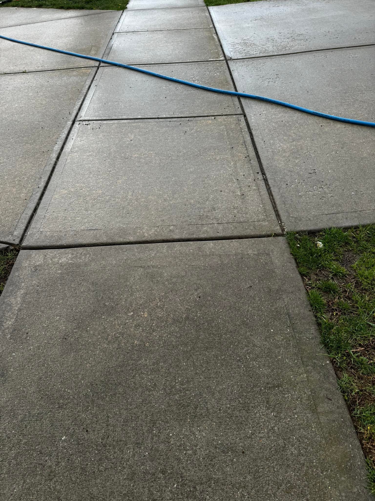 A concrete sidewalk with a blue hose attached to it.