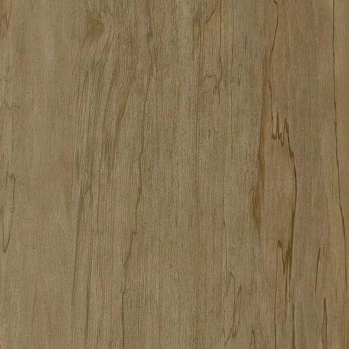 Sweet and Savory Slim Shaker