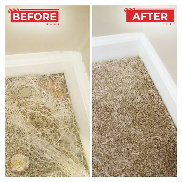 Before and after photos show a container with matted debris cleaned and filled with soft carpet material.