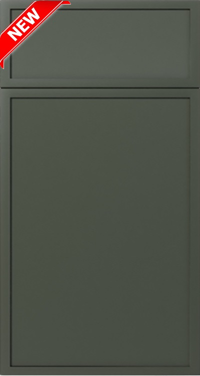 Dark gray cabinet door with a raised panel and a