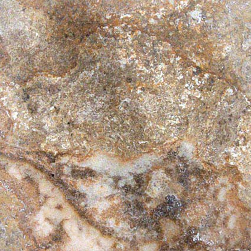 Close-up of a mottled stone surface with tan, brown, white, and gray variations.