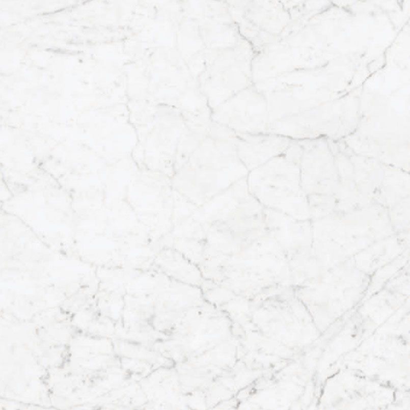 White marble with gray veining.