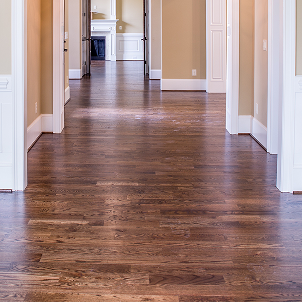Polished brown hardwood floor in a home hallway with white trim and tan walls, leading to a doorway.