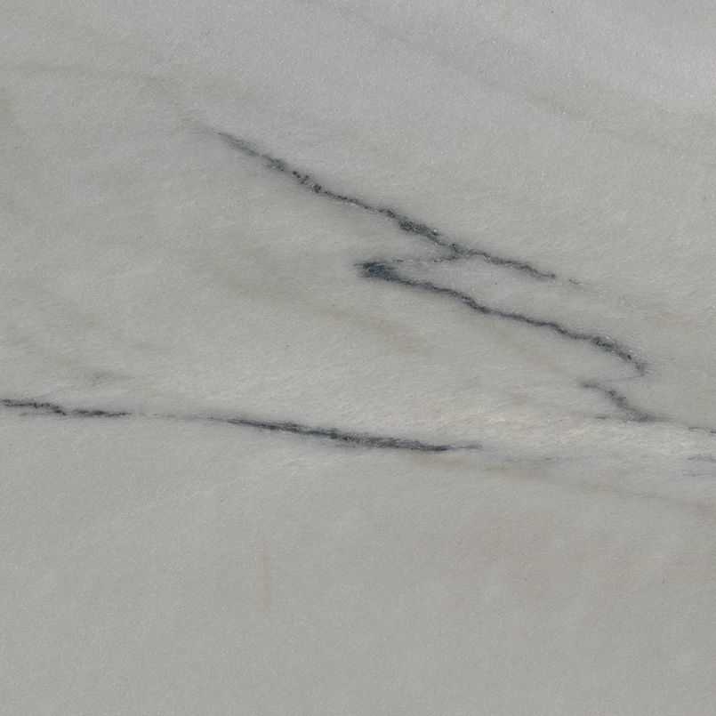 White marble with dark gray veining.