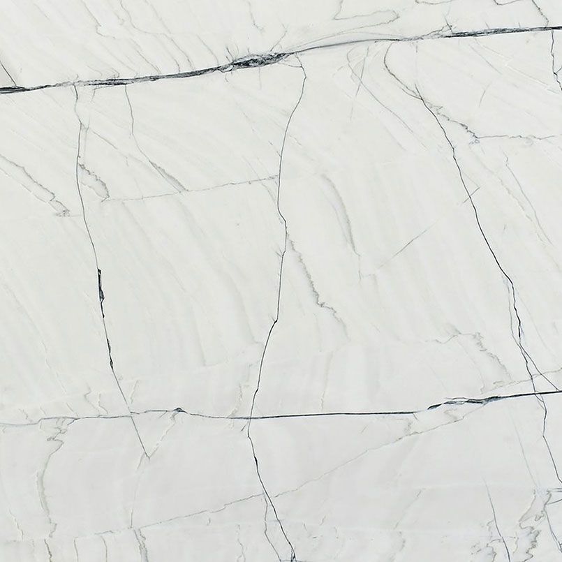 White marble slab with dark gray veining.