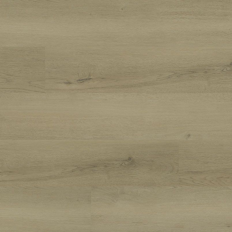 Close-up of weathered, light brown wood grain texture.