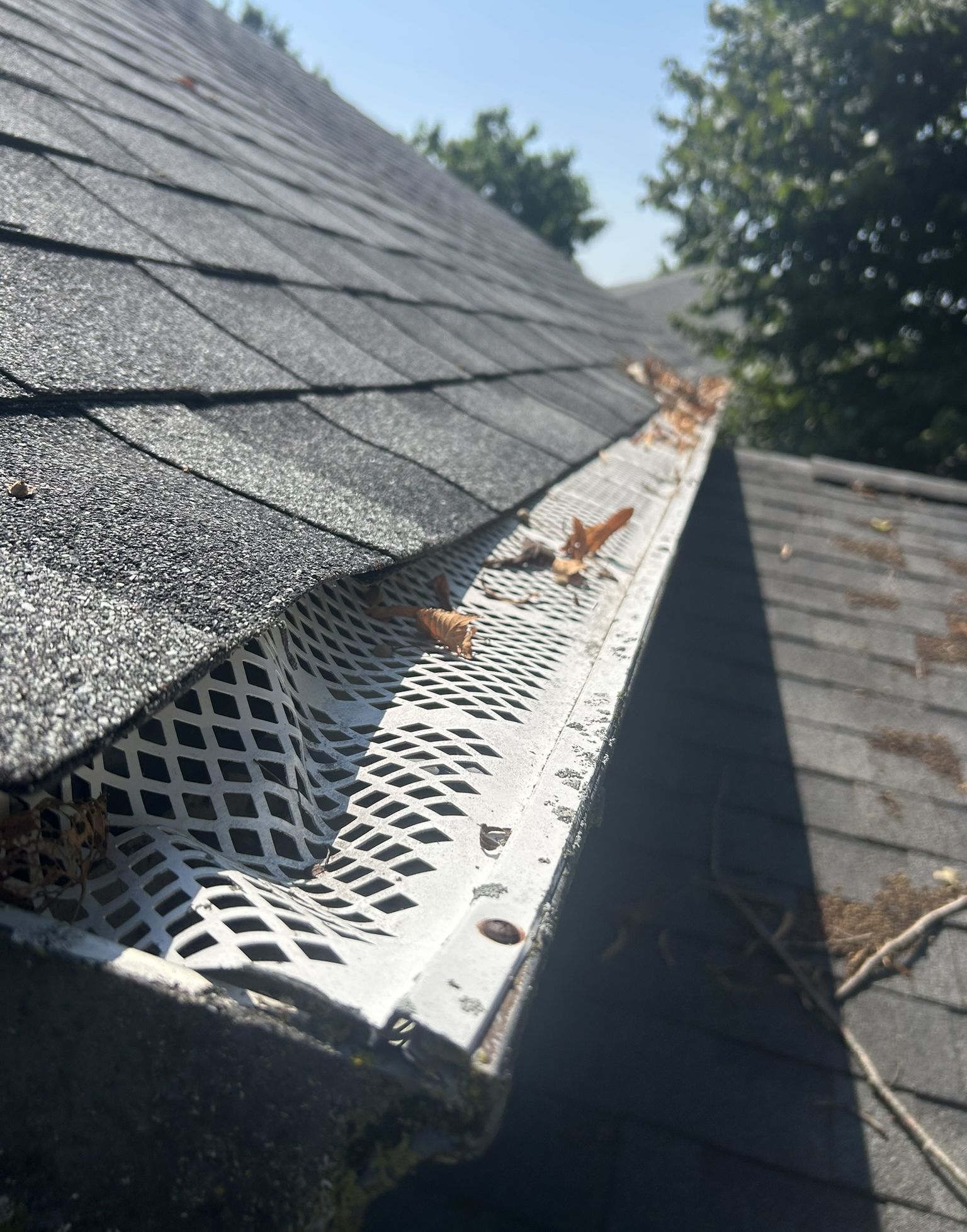 Close-up of a roof gutter with a white mesh screen, filled with fallen leaves, against a blue sky.