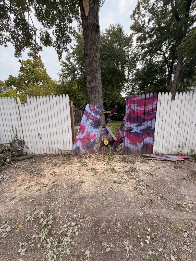 Tree trunk with a broken fence; wood chips and debris on the ground.