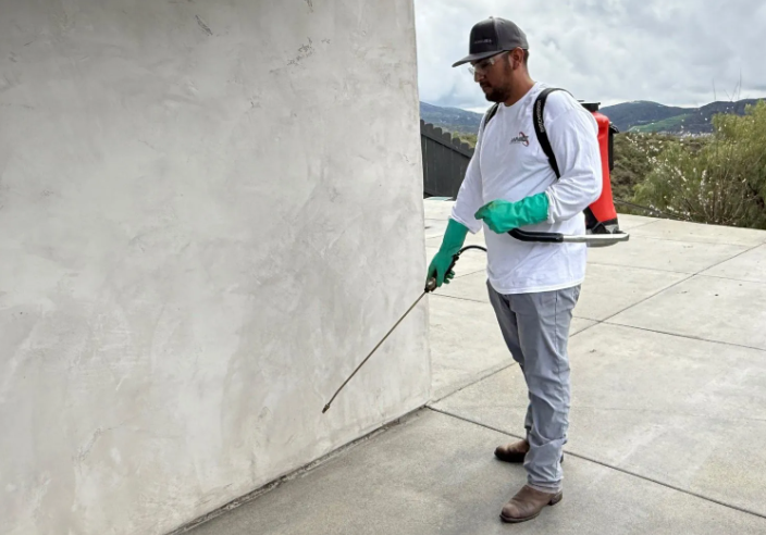 A technician in protective gear sprays a wall with a handheld tank sprayer on a concrete patio.
