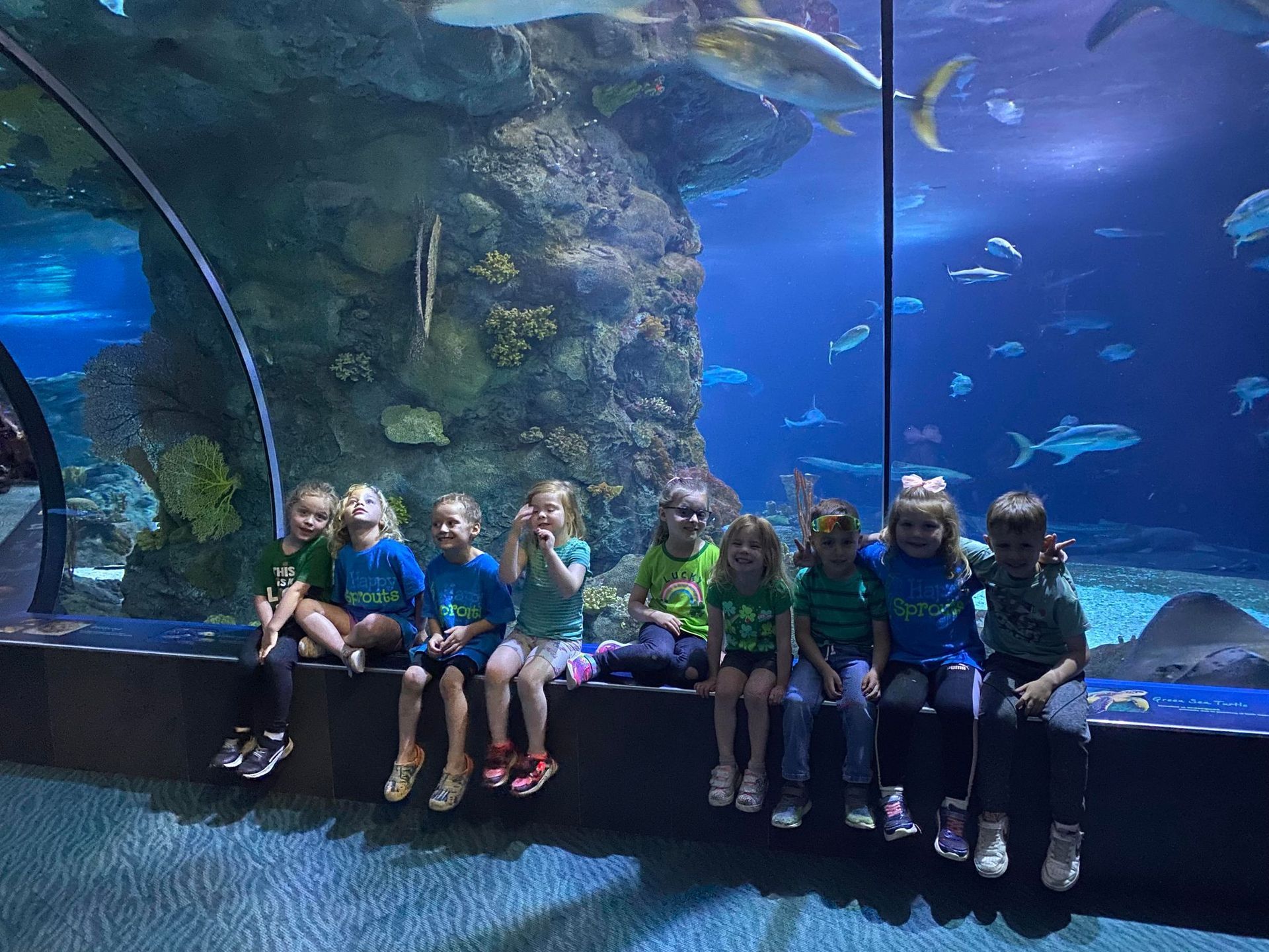 A group of children are sitting on a wall in front of an aquarium