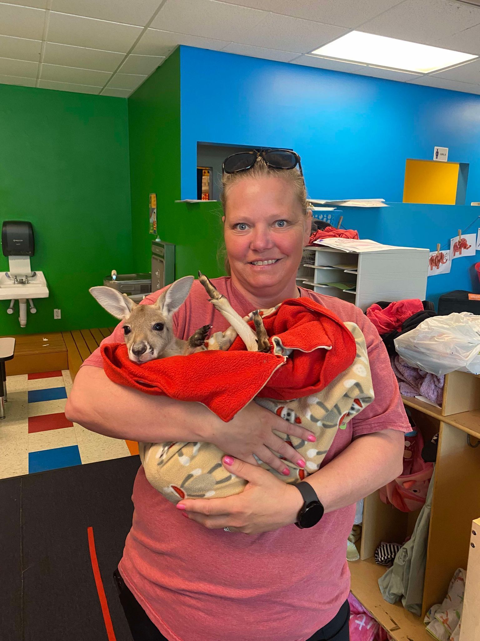 A woman is holding a kangaroo wrapped in a red towel.