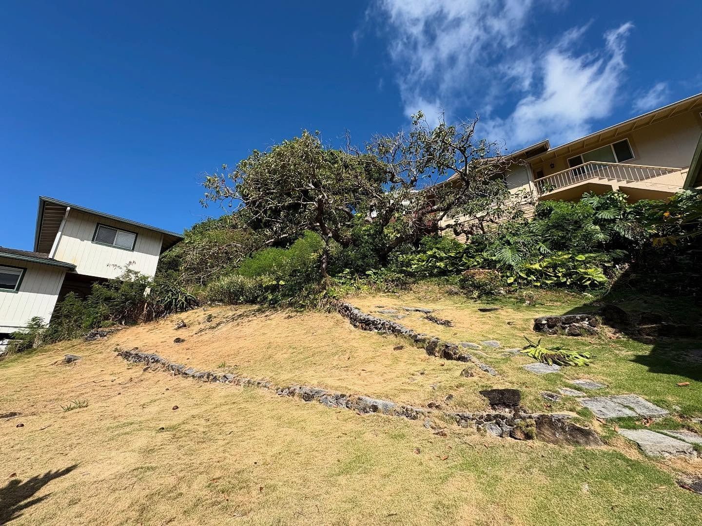 Sloped hillside with terraces, dry grass, and houses against a blue sky.