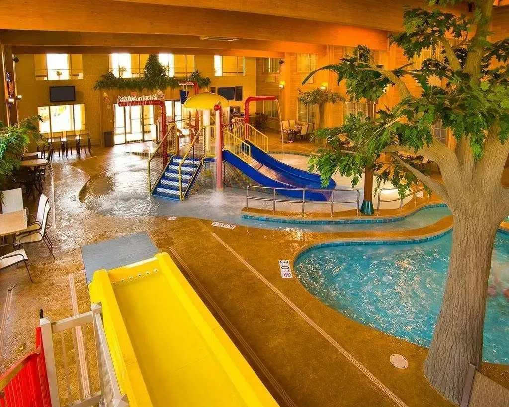 Indoor waterpark with slides, trees, and pool.