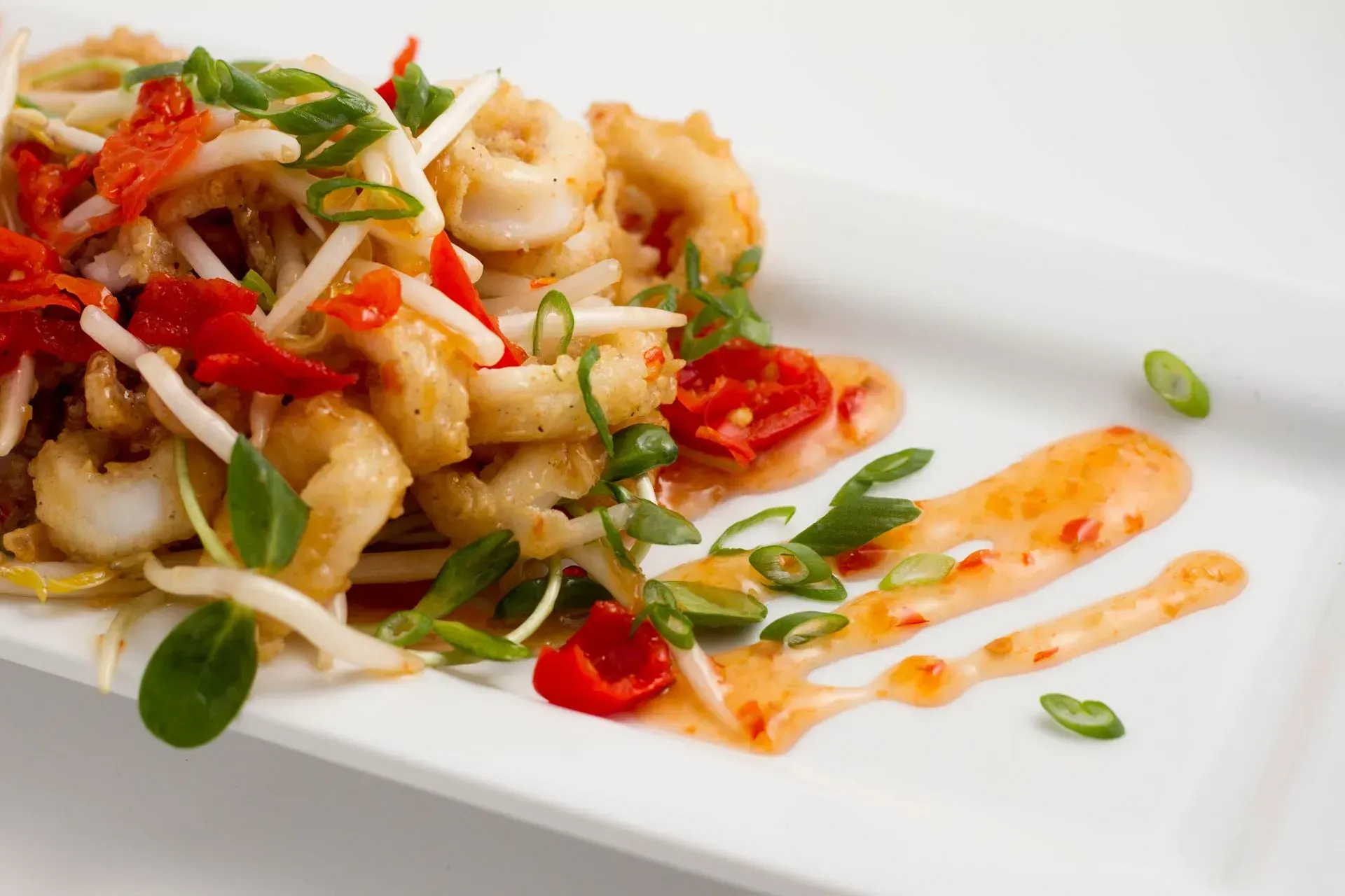 Fried calamari with vegetables and sauce on a white plate.