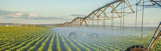 irrigation