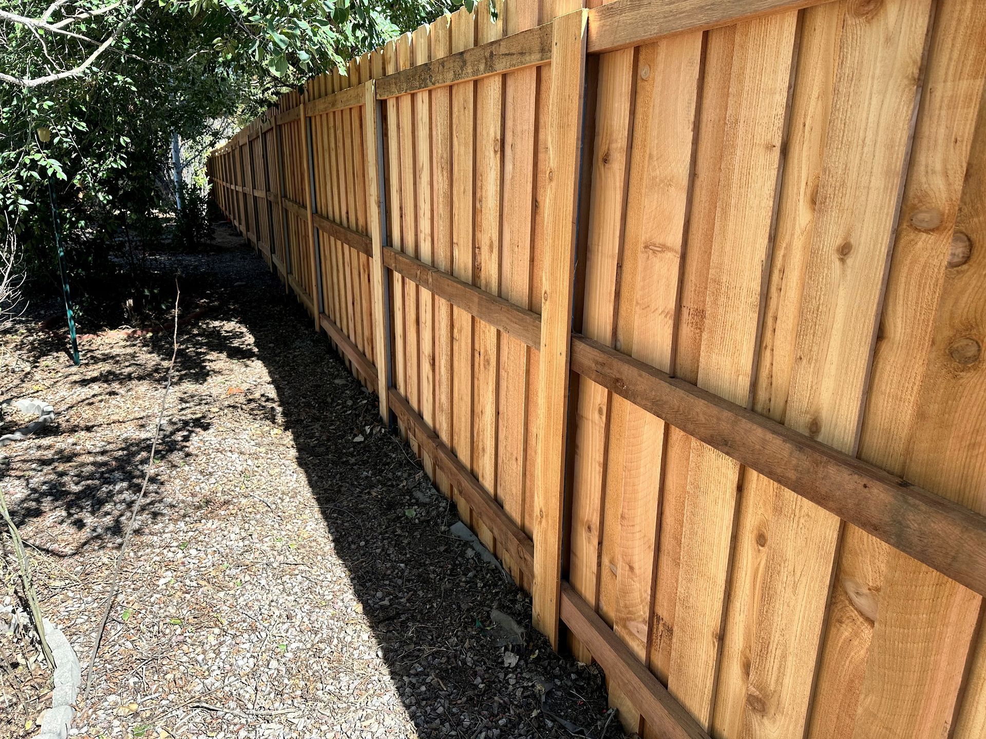 A wooden fence surrounds a gravel path in a backyard.