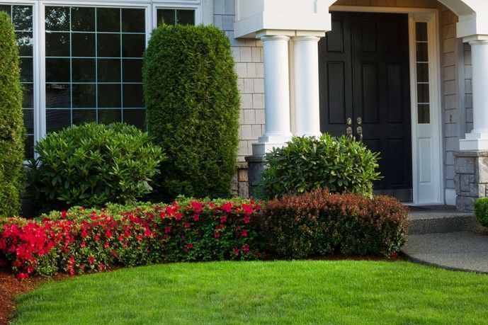 Front yard with trimmed shrubs, red flowers, and a white house entrance