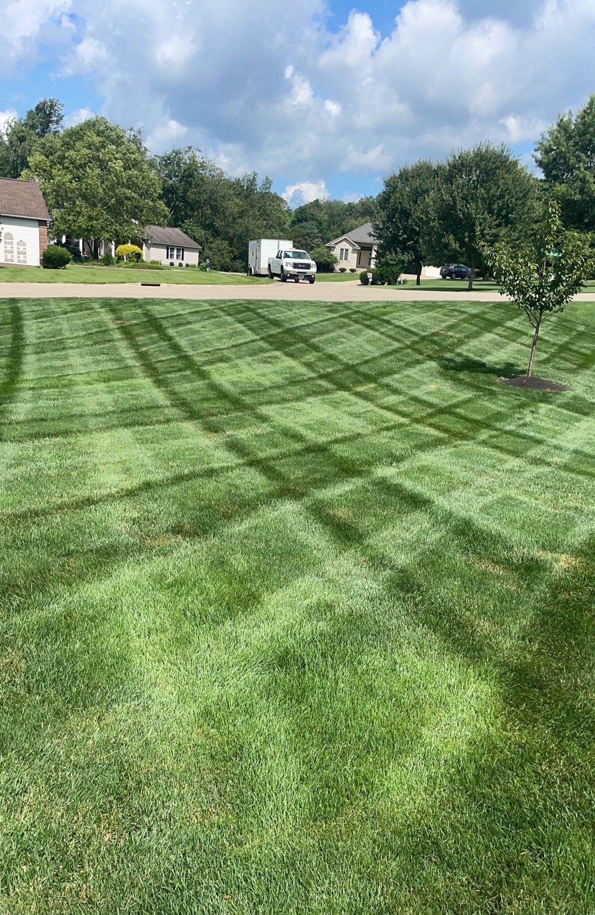 Freshly mowed suburban lawn with diagonal stripe patterns under a partly cloudy sky.