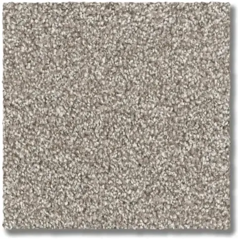 Beige carpet swatch with a textured, looped pile.