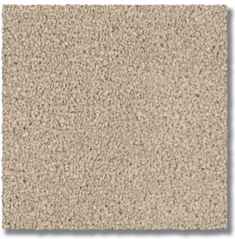 Beige textured carpet square.