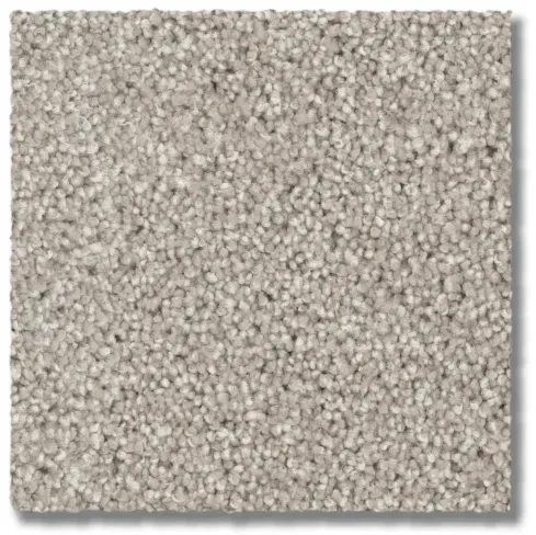 Close-up of neutral-colored, speckled carpet with short, dense fibers.