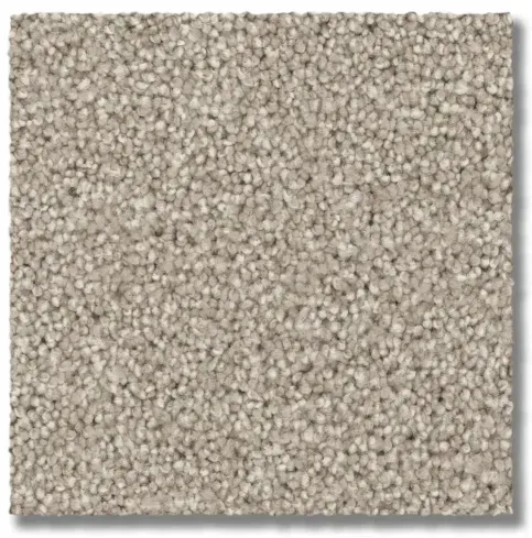 Beige textured carpet tile.