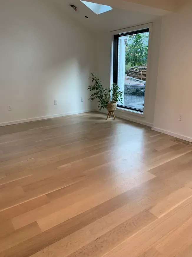 Empty room with light wood floor, white walls, large window, and plant.