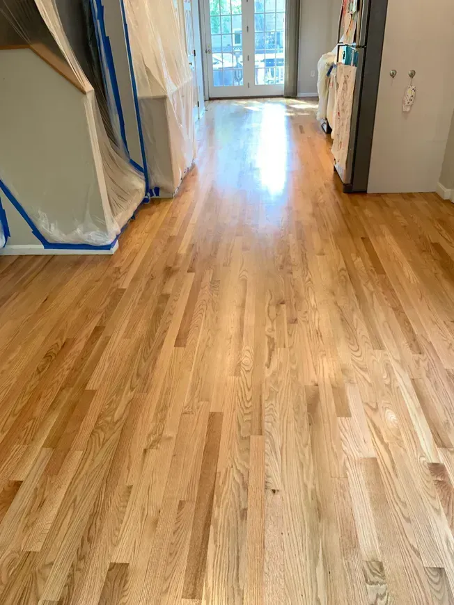 Newly refinished hardwood floor in a well-lit hallway.