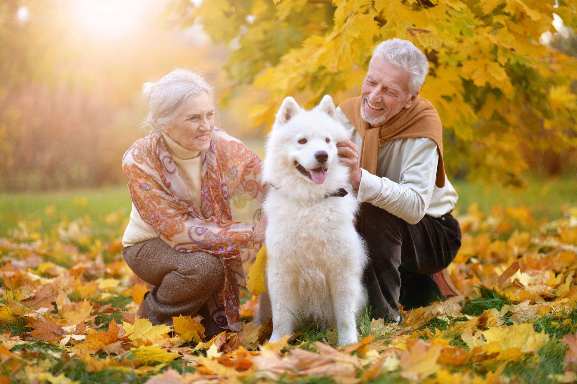 Elderly couples smiling with a dog