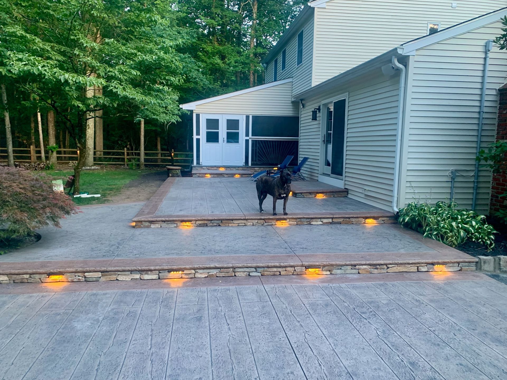 Dog stands on lighted patio outside a two-story house with a screened porch and trees in the background.