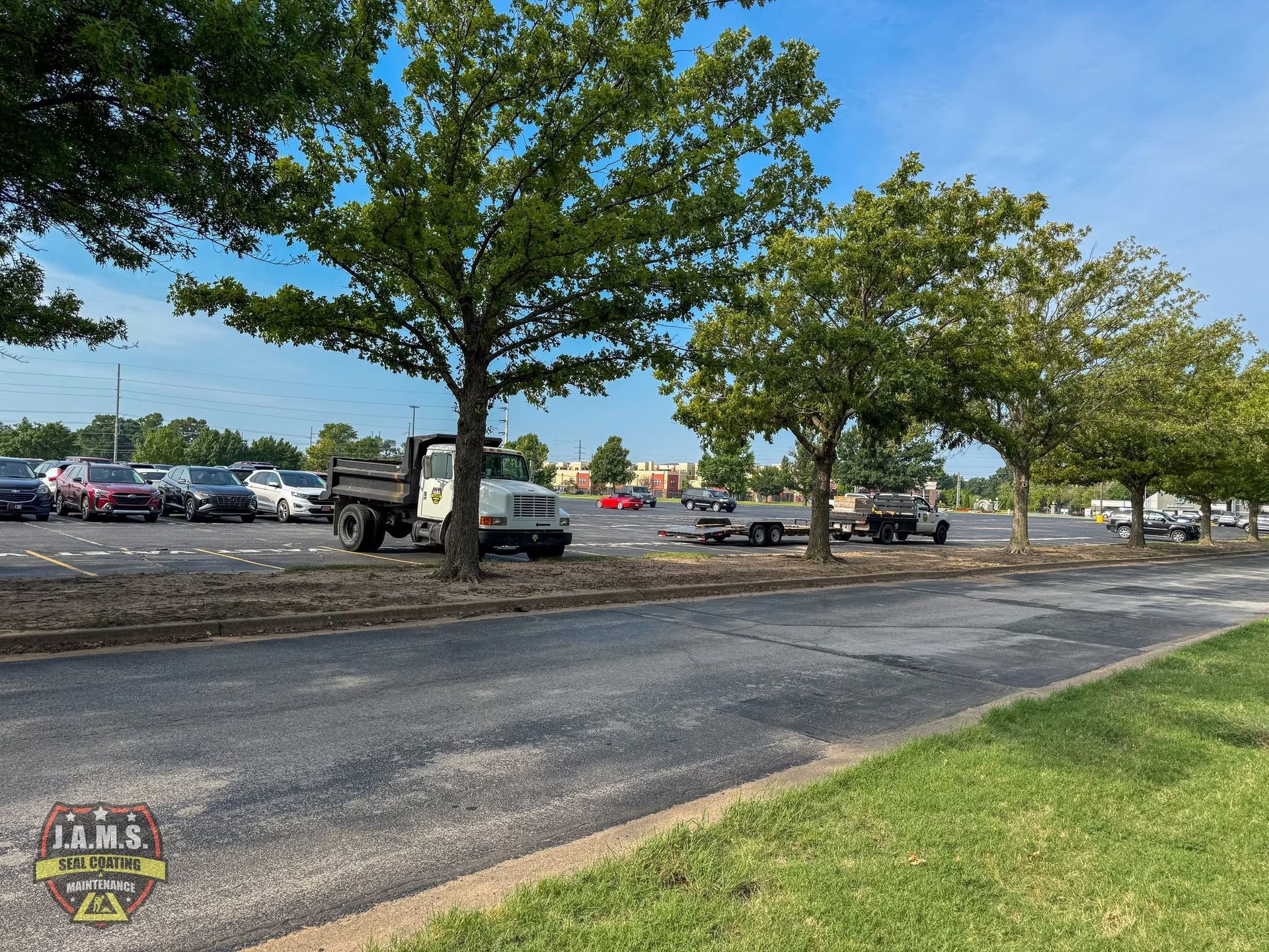 Tree-lined parking lot beside a paved road on a sunny day with parked cars in the distance.