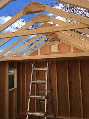 Wooden shed under construction with a ladder inside and unfinished roof against a blue sky.