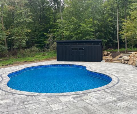 A black shed next to a blue pool on a paved patio with a forest background.