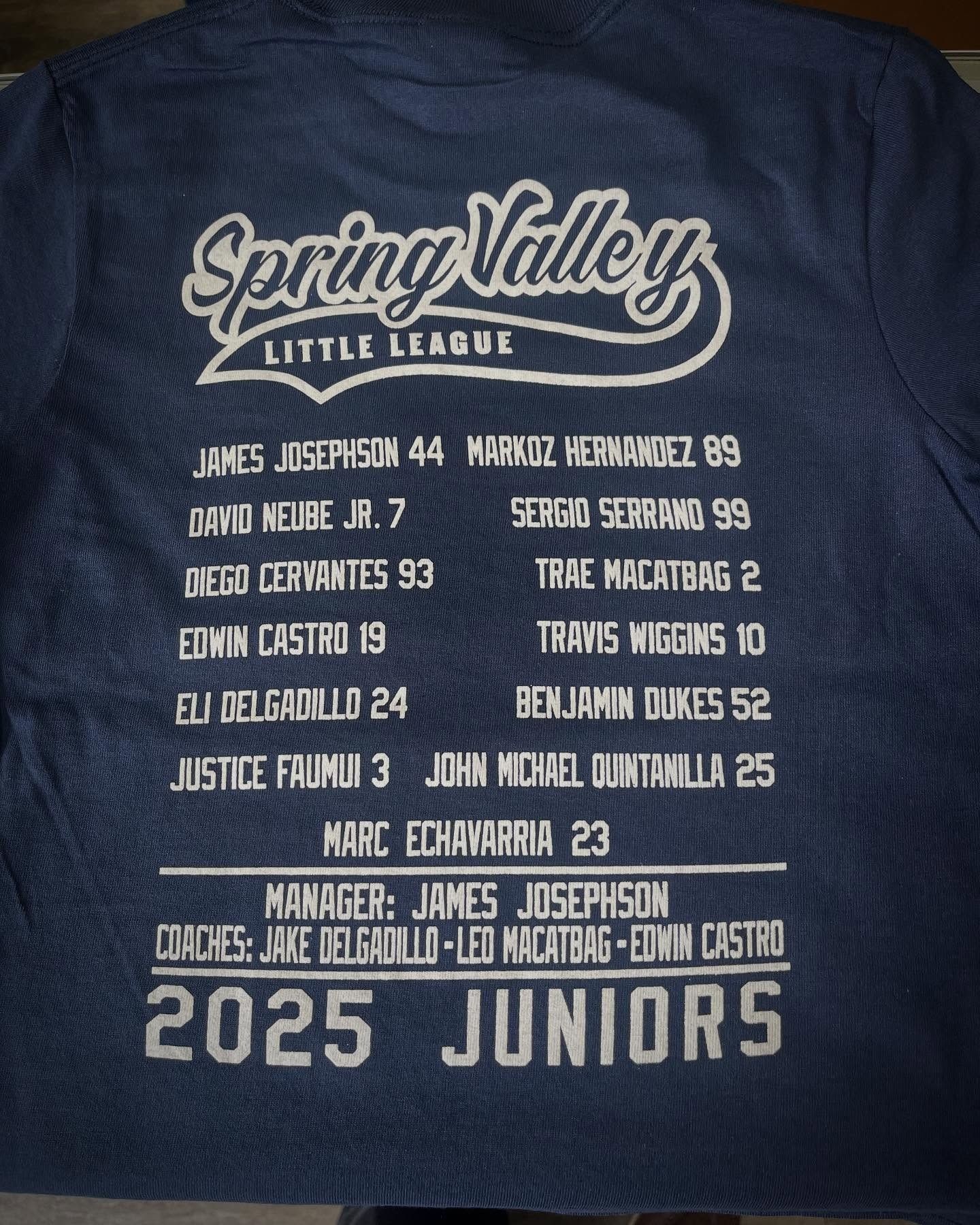 Navy blue baseball jacket with Spring Valley Little League logo and 2025 Juniors team roster printed on the back.