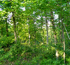 Patoka Lake Recreational Property