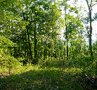 Patoka Lake Recreational Property