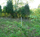 Patoka Lake Recreational Property