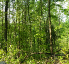 Nature Lovers Paradise