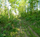 Nature Lovers Paradise